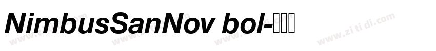 NimbusSanNov bol字体转换